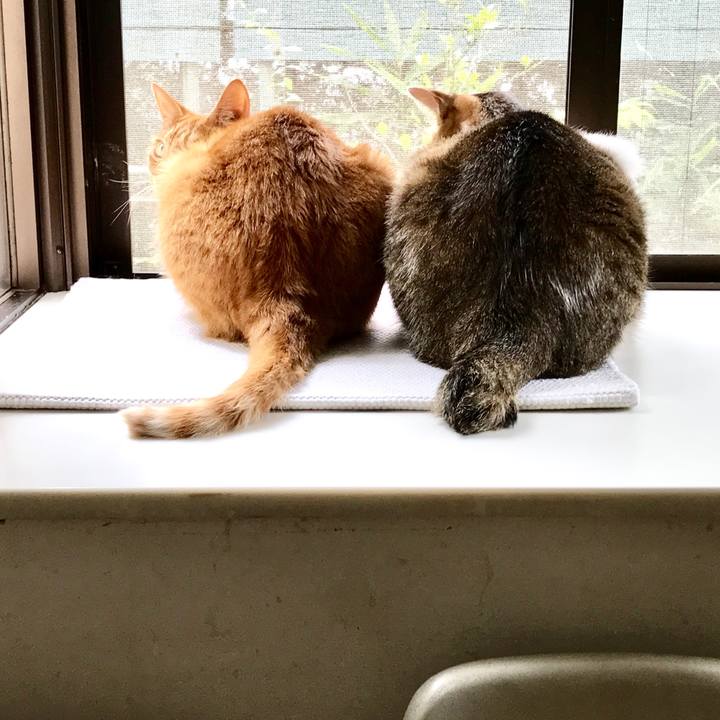 1ea27a31 3594 492b 98d8 8acb986589a7