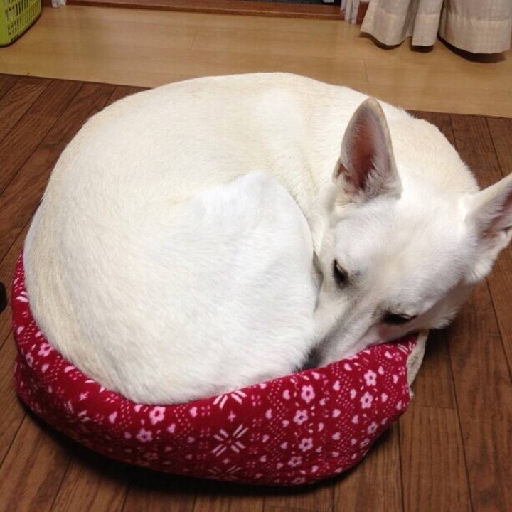 1ea2c194 c247 4730 8df7 91111852732a