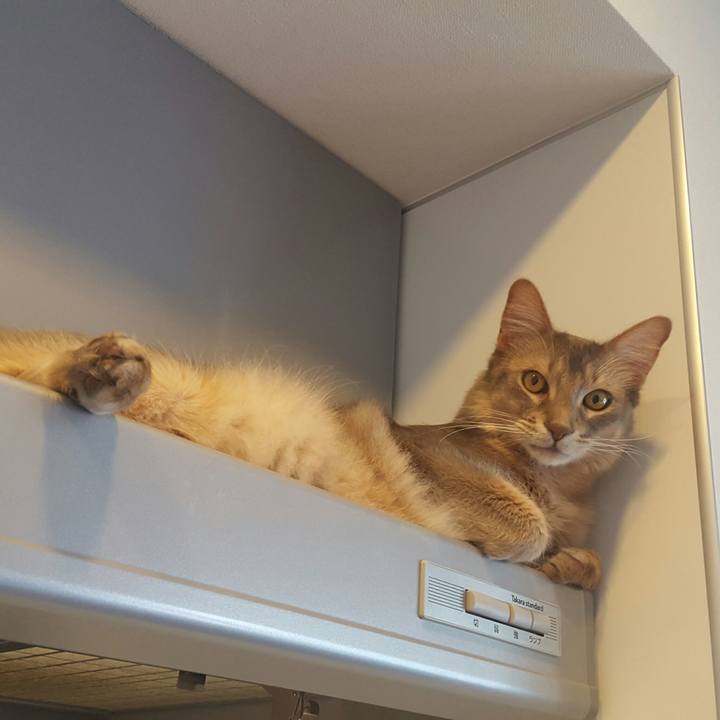 1ea309bc fe16 476a a005 829422f29a21