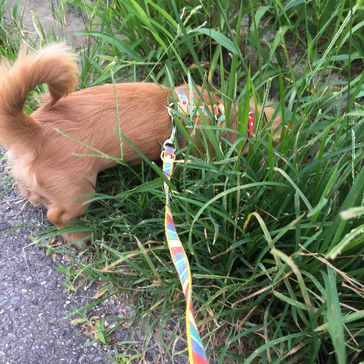 1ea3436e b284 4ea5 b195 344ec3ee1241