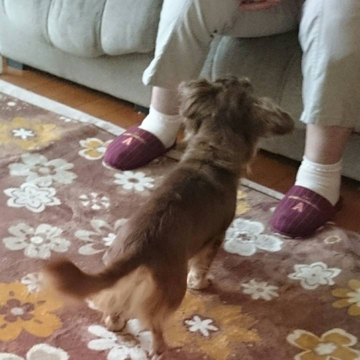 1ea3477e 5678 4c5c bb45 18809aeb3631