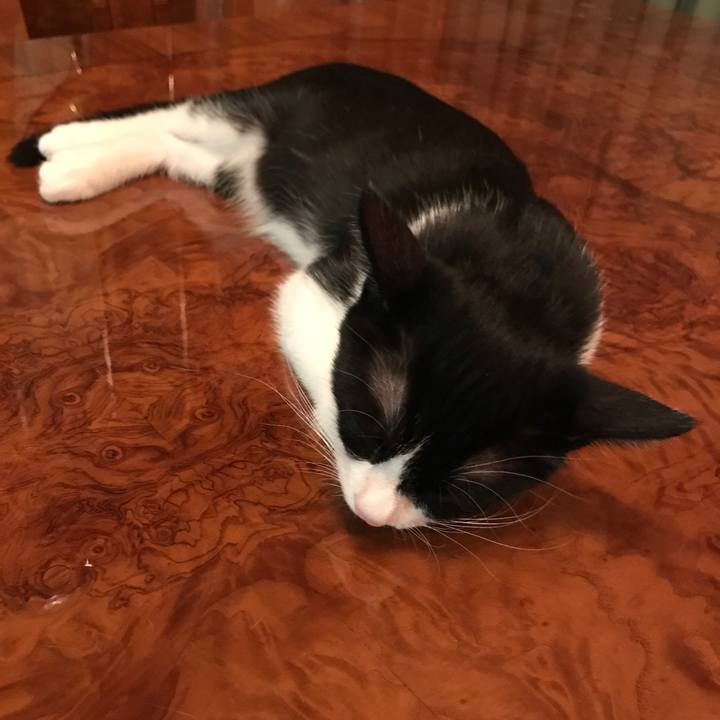 1ea3e66d 2eae 484c 9965 27bd75269f0c