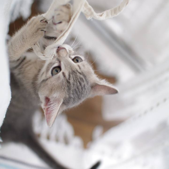 1ea3ed5f 2f96 45ce 890e dbc319ef6010