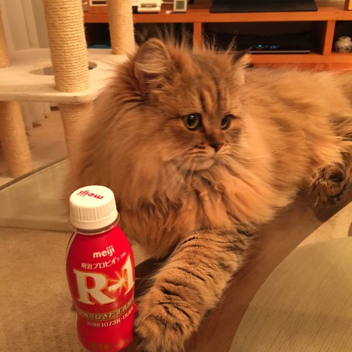 1ea42e01 79c5 4818 bf36 a2cc3be4761f