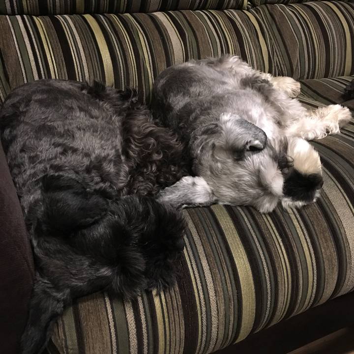 1ea4e761 bee3 4aa0 911e e07993b58463