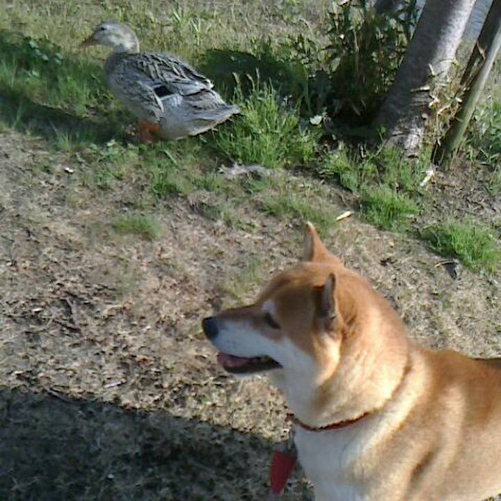 1ea4e96a 0842 4a90 a4b6 2af7ff66ed59