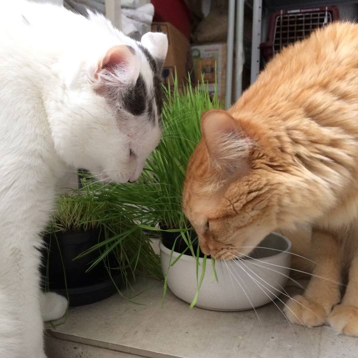 1ea623ed fed8 4f8a 9f7e 009f6d06799e