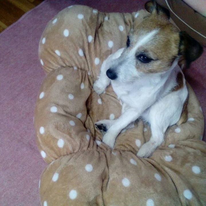 1ea64c8f 8876 49c9 bd62 71220b435de9