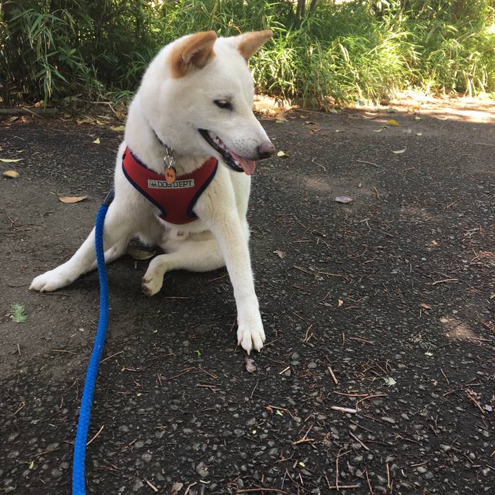 1ea6518d 2733 4b53 920b b9b08cc4b975