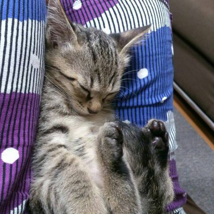 1ea68953 4428 4b07 bde6 c9a66c549158