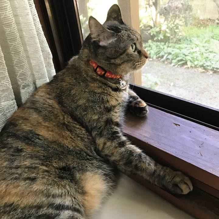 1ea8a084 561b 476c a09c 9b15b5cd2f12