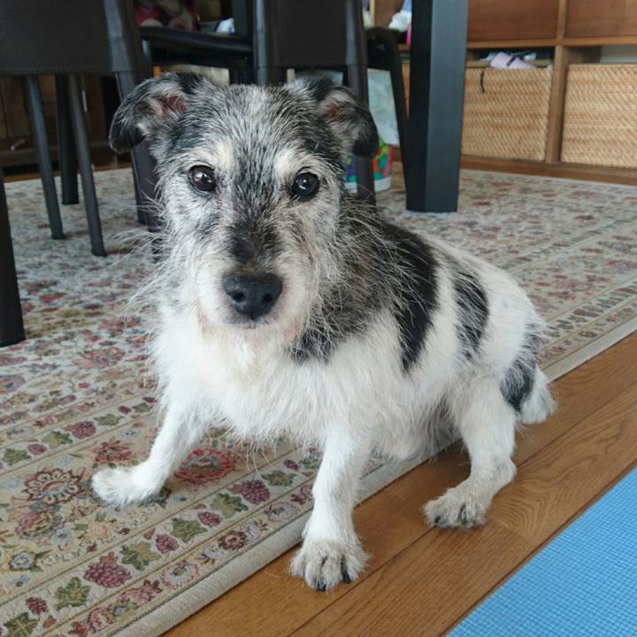 1ea8e1d6 a1e8 4300 b4d2 43985d0aa246