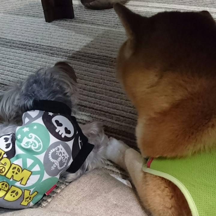 1ea90a84 41c1 4bc5 af3d ddeb7dbb1f44