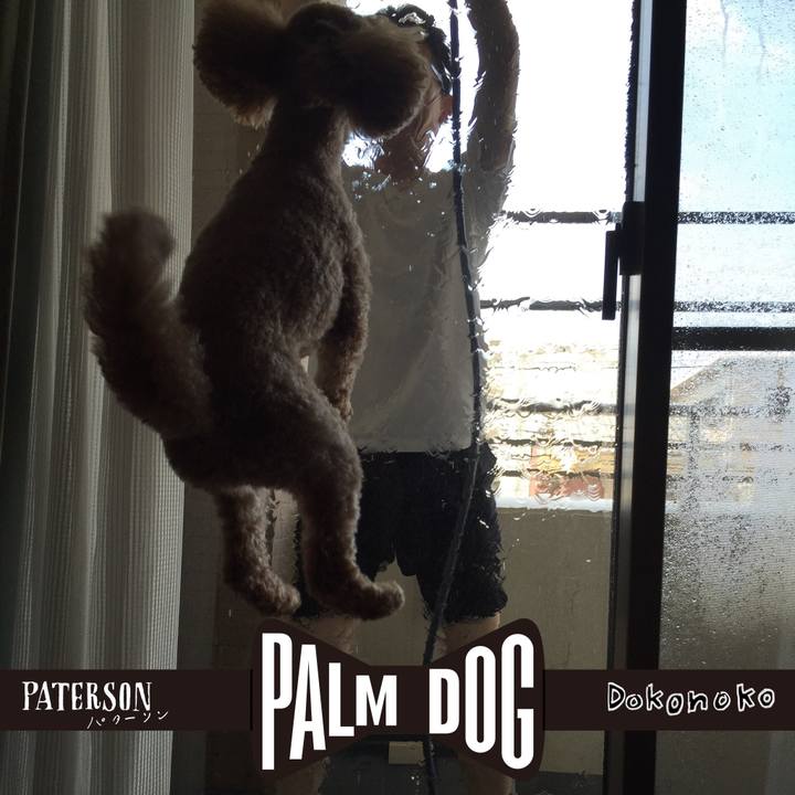 1ea9a901 88af 4dd1 83f9 0d3e5a23cf2e