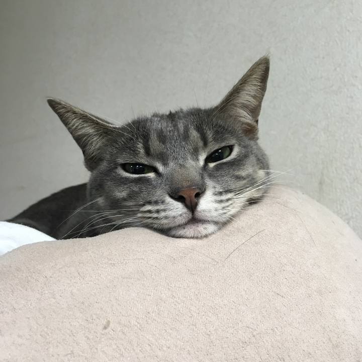 1ea9f510 07fa 4ce3 87c5 1ec8c4576d38