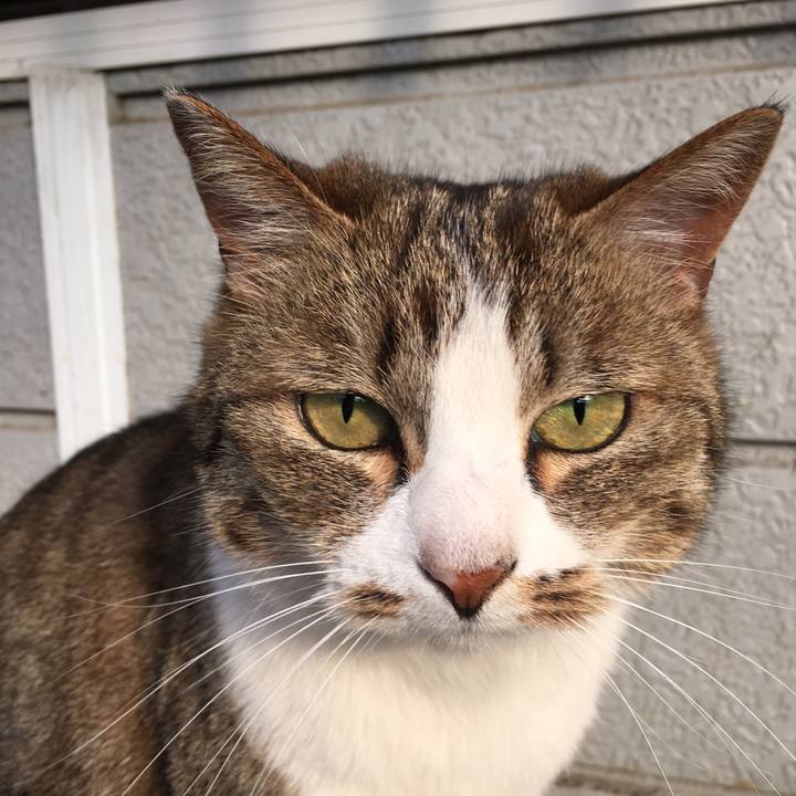 1eaa2a53 40eb 4a8b b81e a0ea416a9dba