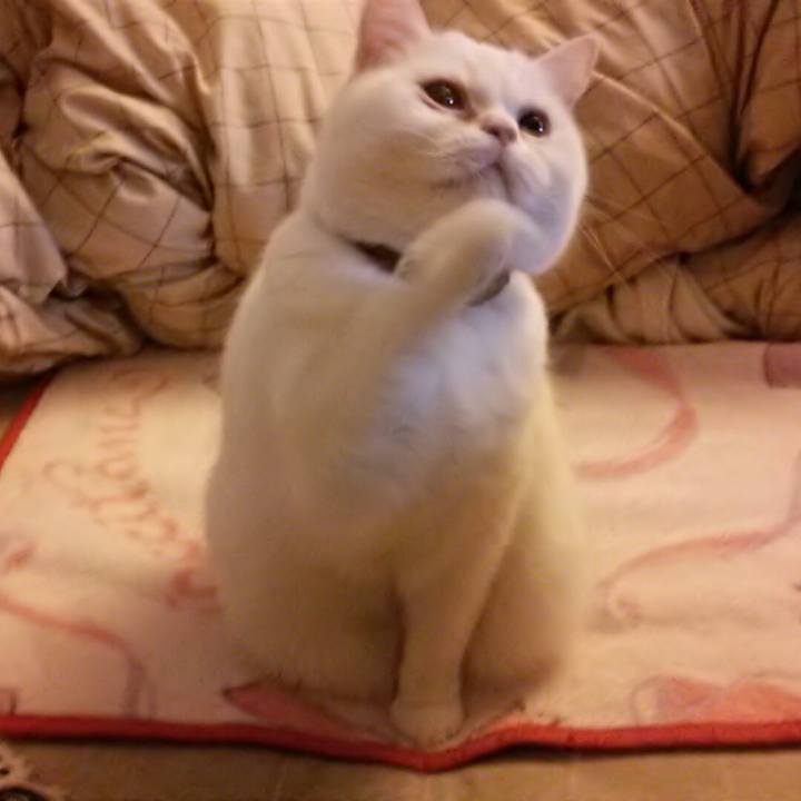 1eaa8b79 91f1 4804 87cc 20f179c887f4