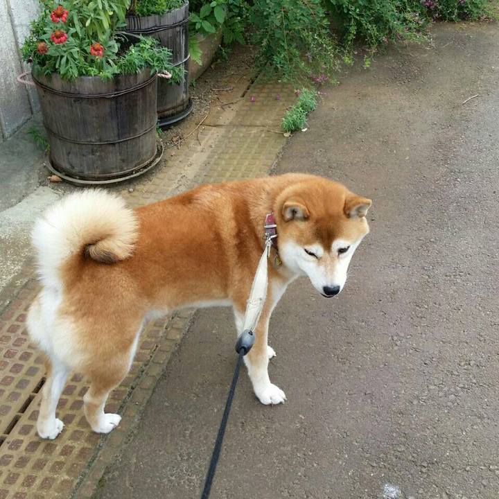 1eab6e66 a2da 45af 86a3 64504b7869e3