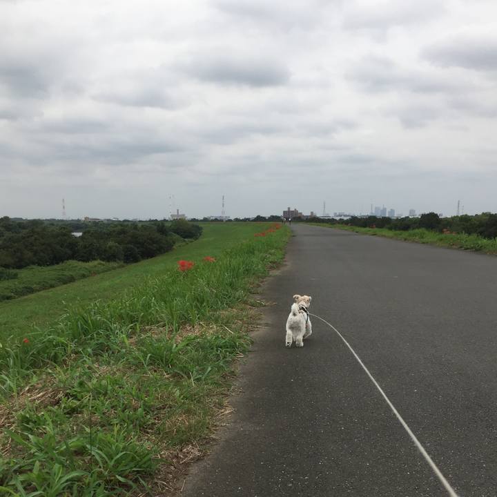 1eaccb9e 5390 4ec1 b4e1 7bfb2322d130