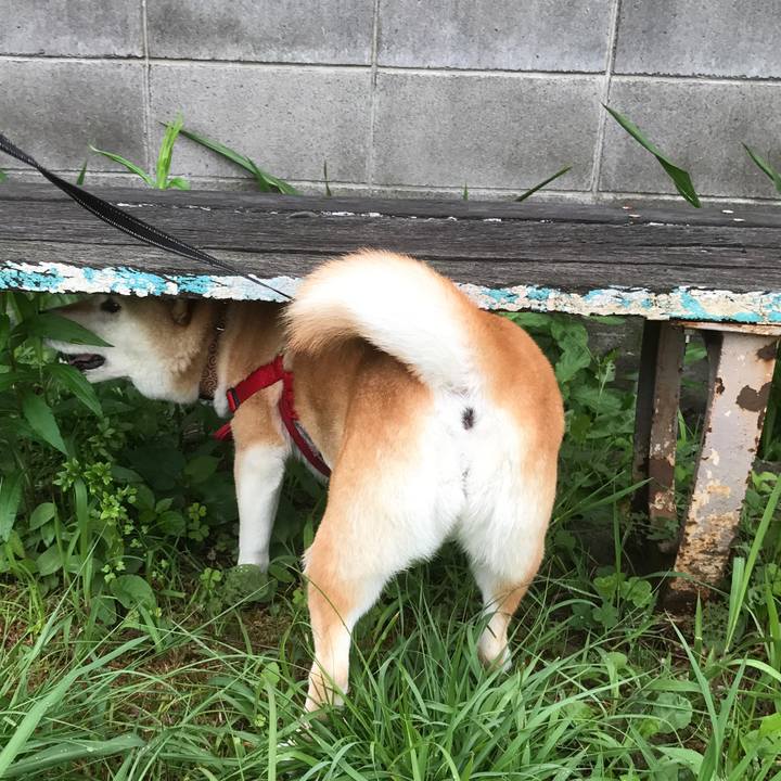 1ead6219 4caf 4737 8288 573e3aac0c80