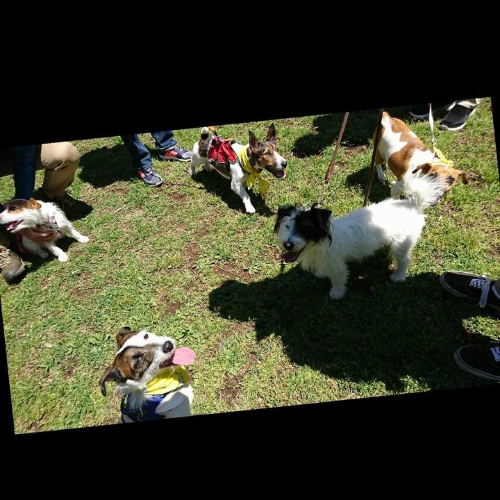 1eadc6a7 b4ca 4bde bc06 19dadba51a25