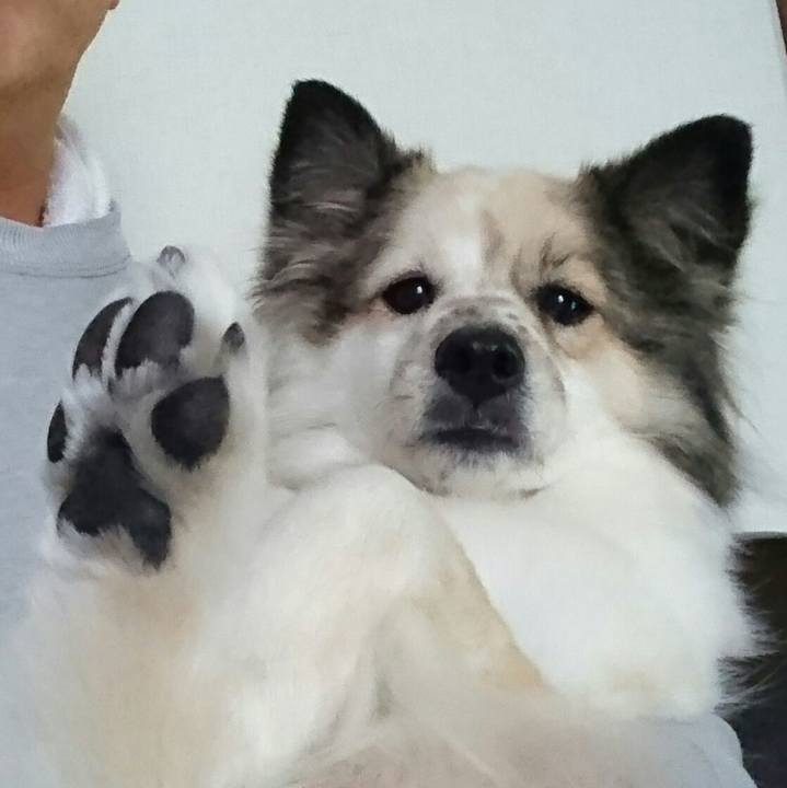 1eaef04f fa7a 457c a173 c210dd4c8c52