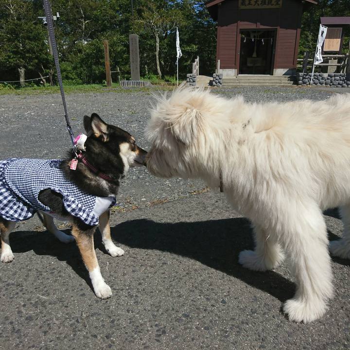 1eaffd2b 68a4 4624 946a 8785f54aab98