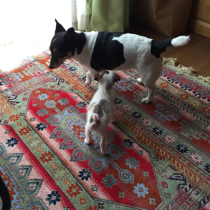 1eb007b9 29ce 43ae 883a 7da4164a6bc6