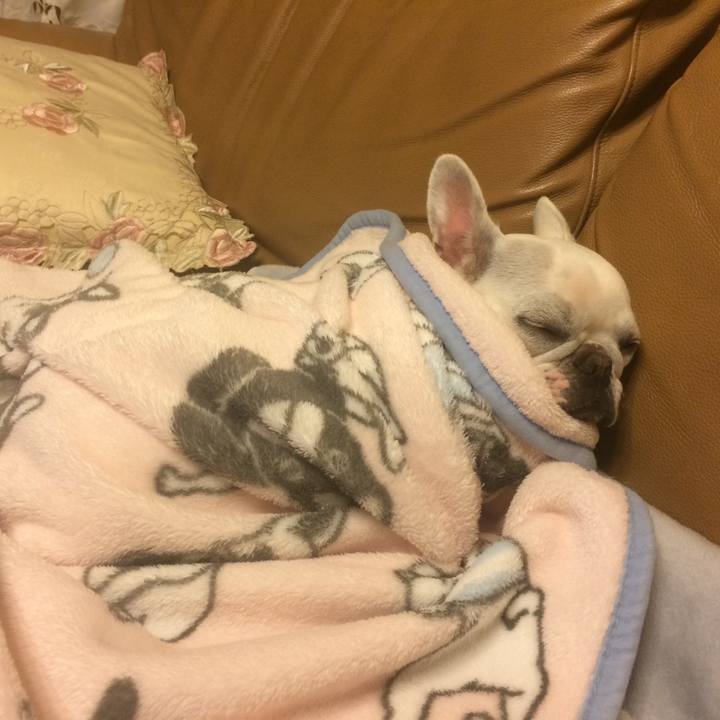 1eb065d0 1e91 4def 9fd9 8f27ddae5d18