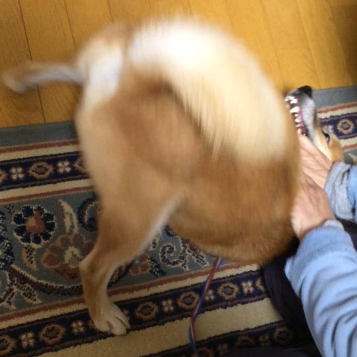 1eb07874 c3ef 4b27 852a d7d7da34d885