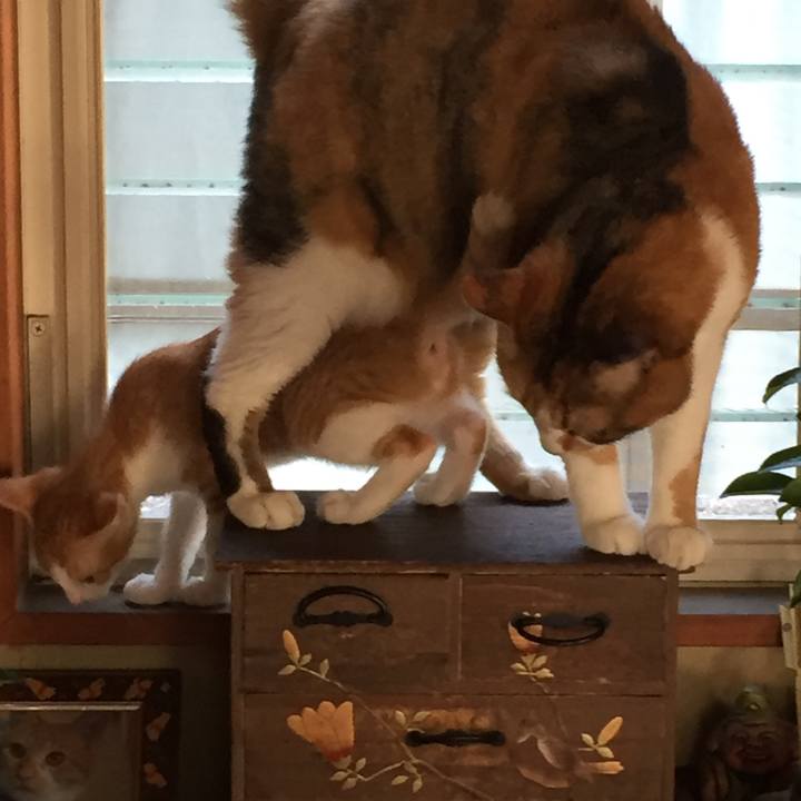 1eb07c13 7dcf 47e1 ba0a 5288bf537e07