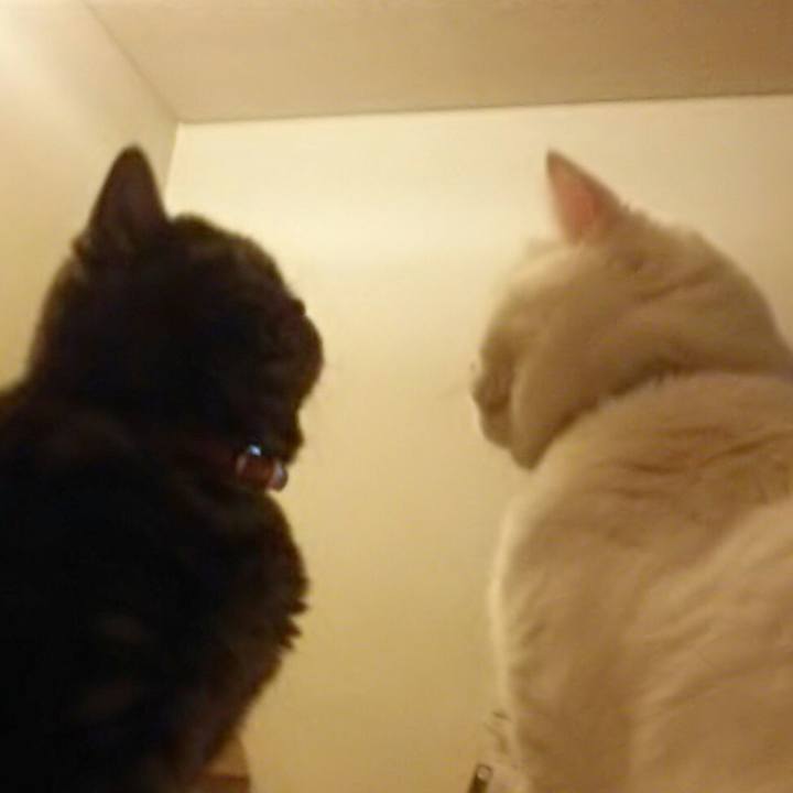 1eb12244 d6ae 4826 9f9a 5ff8638d6aa7