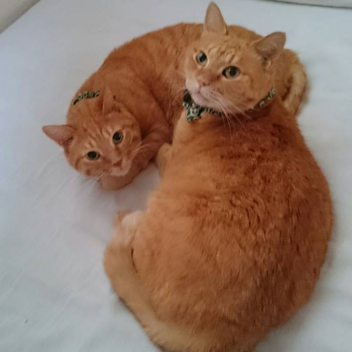 1eb13b79 bb52 4f3a bbac 4e96cbbf7b35