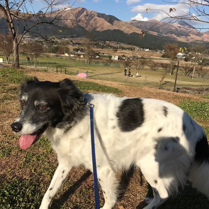 1eb1b04e d165 4495 9fb6 255d78745bb9