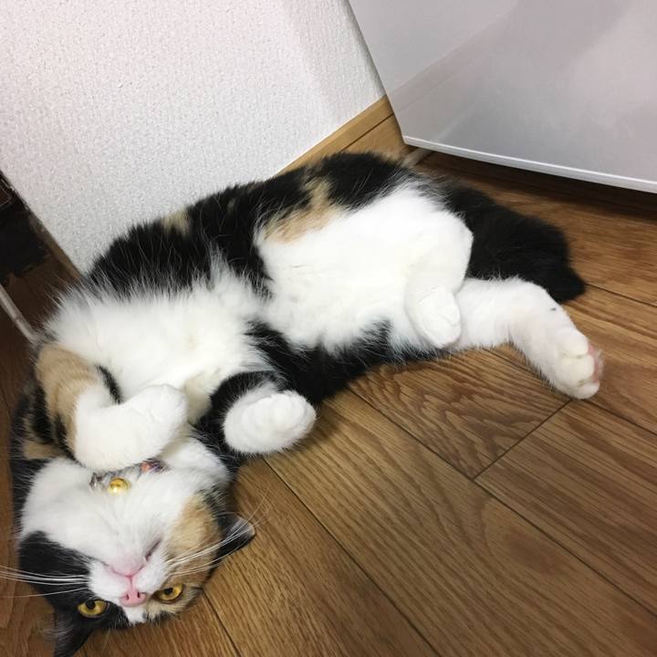 1eb3adc5 4cdb 4df0 b158 1c1a7d9eb91f