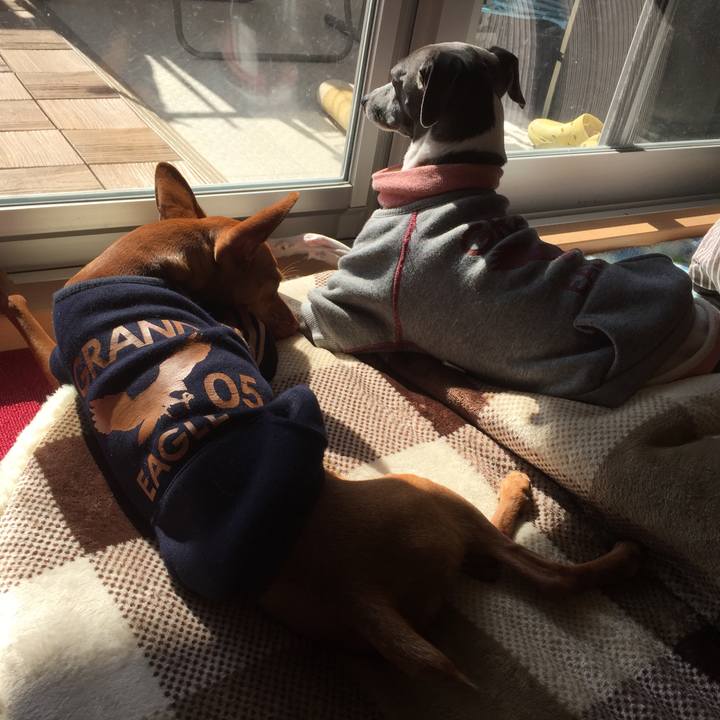 1eb49639 6760 42c7 bb9e b8abc9c91cdd