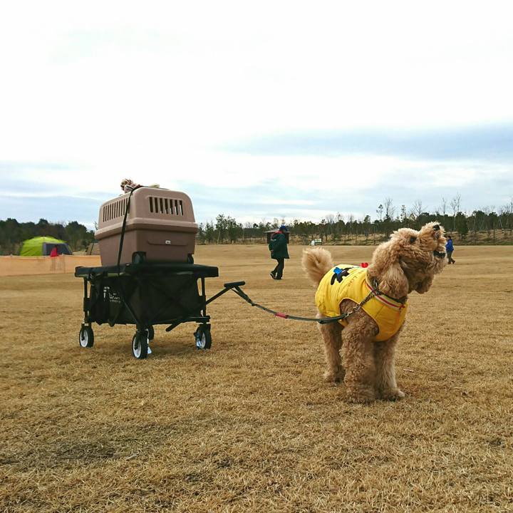 1eb4c36b bb55 4d42 baf3 4911dcb50c04