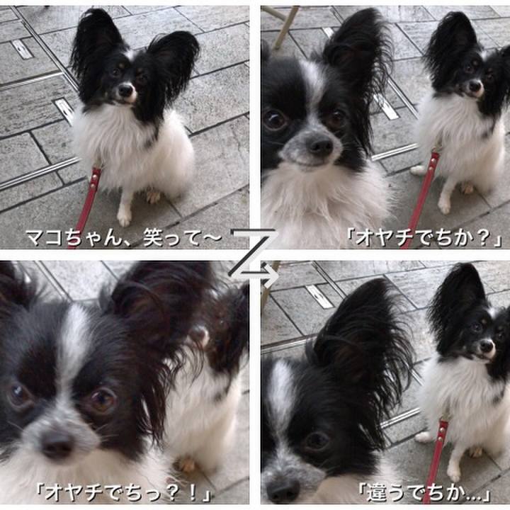 1eb4fb08 e89b 4ae0 8185 20d7cb71adf6