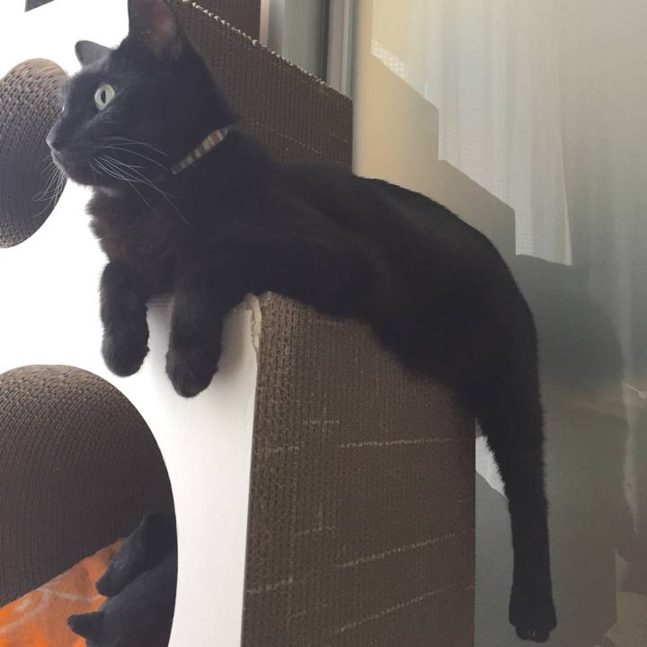 1eb5206b 5b87 48b8 9996 d8e68f4157dc