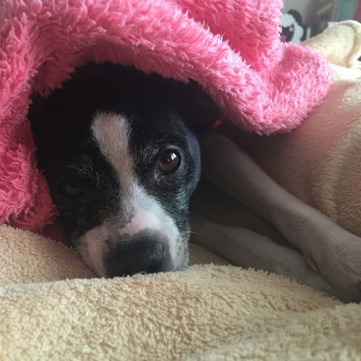 1eb66cfa 22a2 4f6d 81c1 e430e5e98d9e