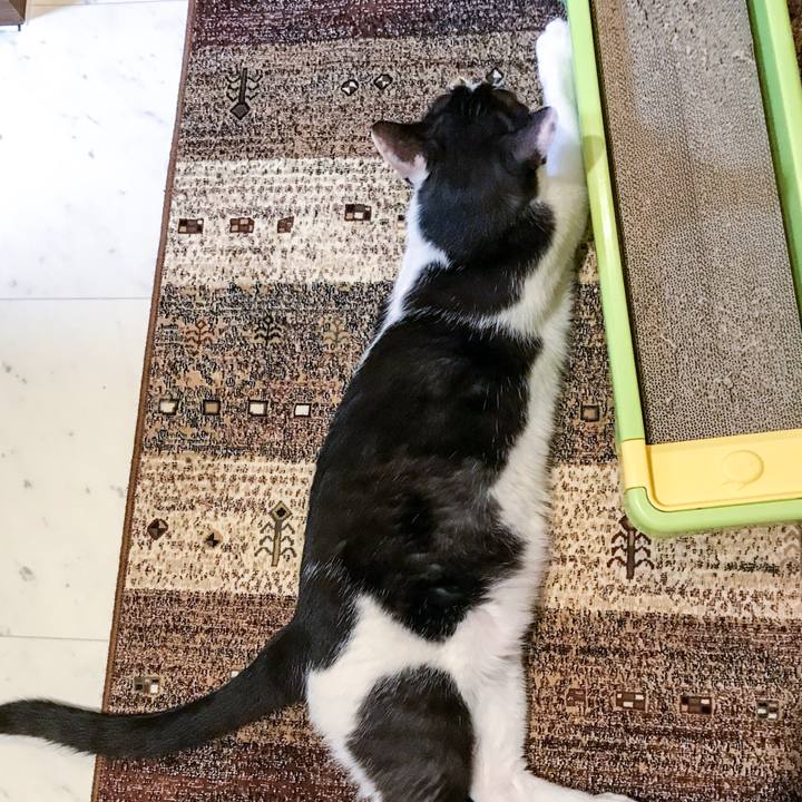 1eb6eb4c cacb 47d6 a8b8 3e6633fd2841