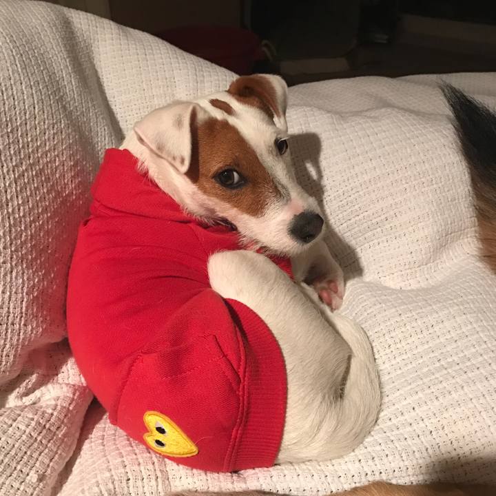 1eb7635d a217 423e aa7d 4034bad89842