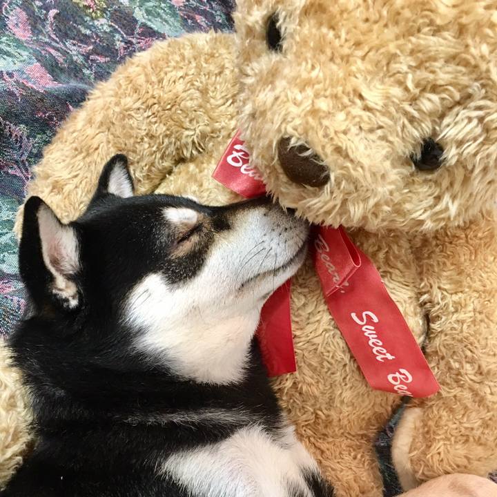 1eb88d02 34ac 4643 bb6a 6f1bb8979577