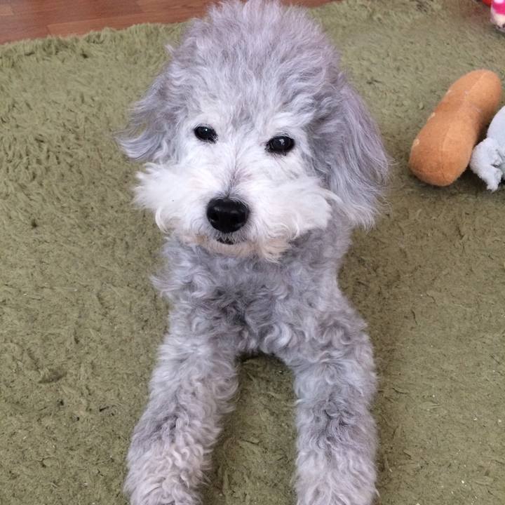 1eb89813 3db7 4689 8b75 9232abaec7c2