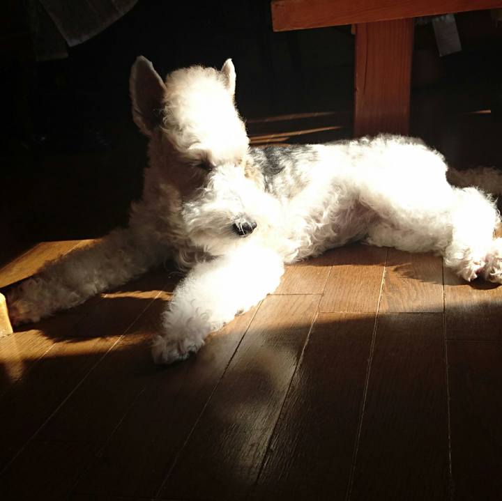 1eb8a168 b4ce 48c6 b2d6 7f37e84cac00