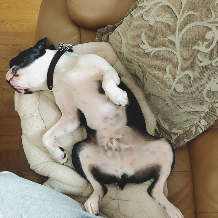 1eb8f40a d832 478a b284 366135d342fd