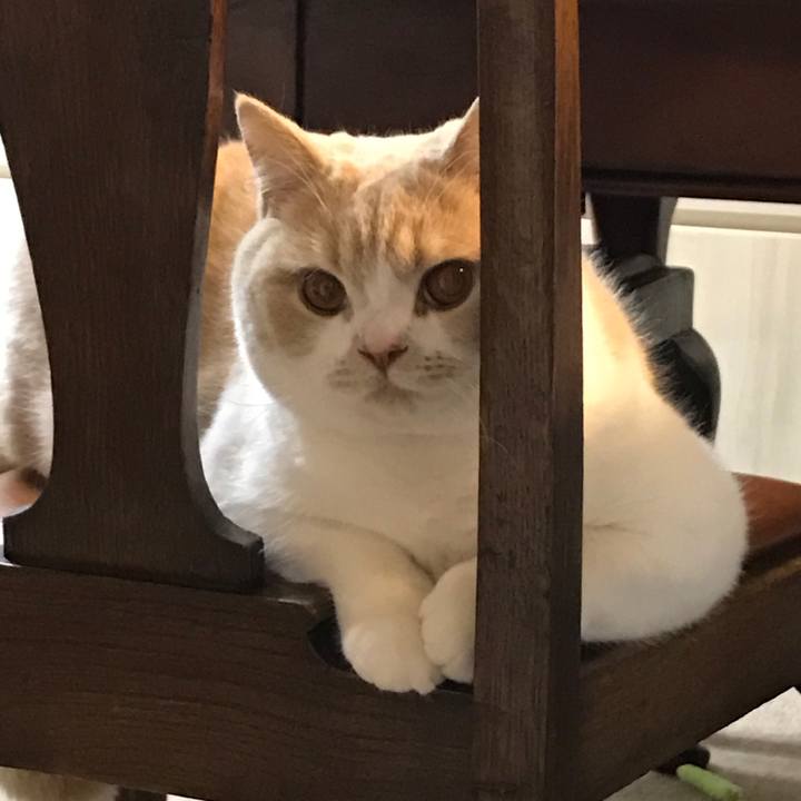 1eb910c6 67ab 42a8 9086 98ca6314b01f