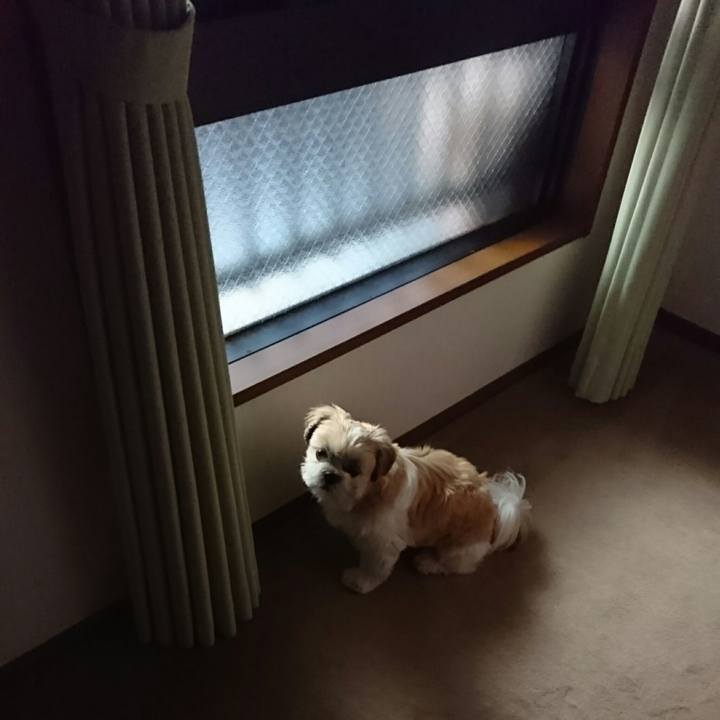 1eb9146c 2b5a 4a63 9bb2 abef83380914