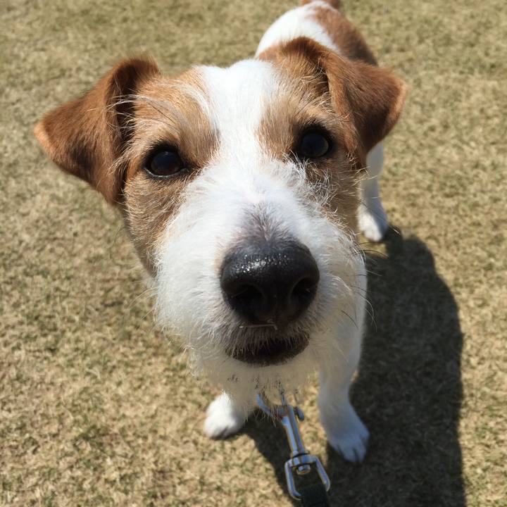 1eb928d7 edb4 447f bac7 cbac16b57a2e