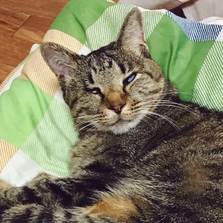 1eb92a19 97f2 479a 8c98 0eba55422b80